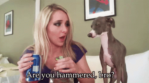 Jenna Marbles Hammered GIF - Jenna Marbles Hammered Drunk GIFs