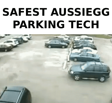 Aussiegg Parking GIF - Aussiegg Parking Driving GIFs