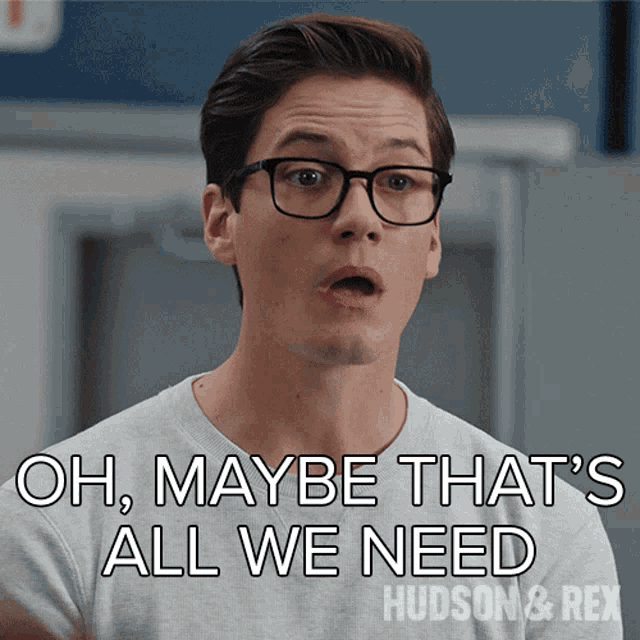 Oh Maybe Thats All We Need Jesse Mills GIF - Oh Maybe Thats All We Need Jesse Mills Hudson And Rex GIFs