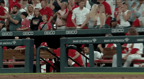 a baseball game is being played in front of a crowd that is sponsored by geico