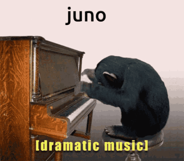 a picture of a chimpanzee playing a piano with juno dramatic music written below it