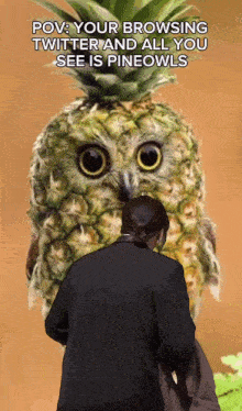 Pineowl Pineowl Meme GIF - Pineowl Pineowl Meme Pineapple Owl GIFs