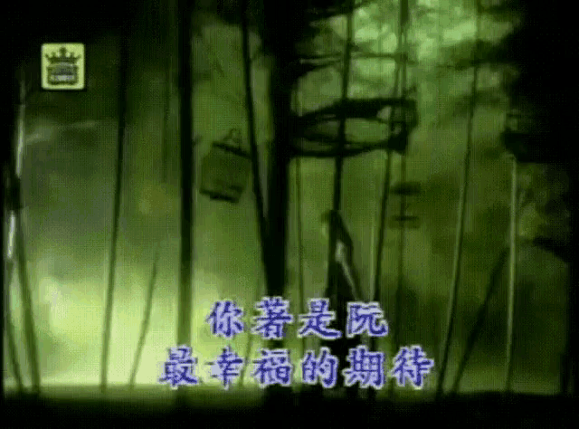 a green background with chinese writing and a crown on it