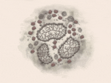 a drawing of a brain with a blurred background