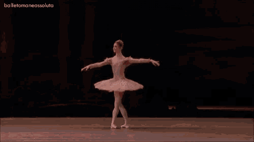 a ballerina in a pink tutu is dancing on a stage in a dark room .