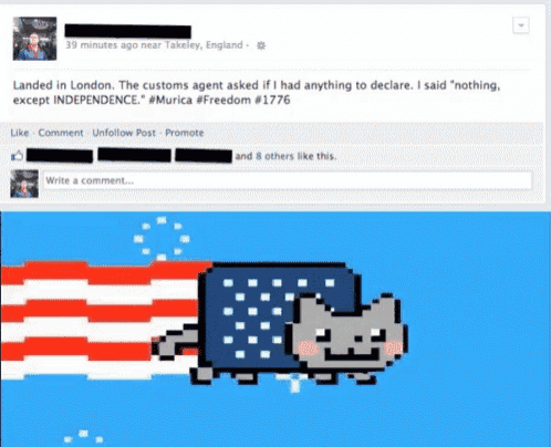 a facebook post with a picture of a cat with an american flag on it