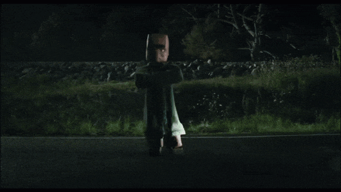 a car is driving down a road at night and a bird is flying over it