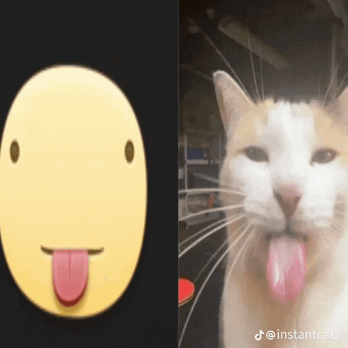 a cat sticking its tongue out next to a yellow smiley face
