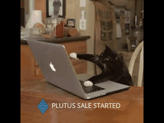 a cat is playing with an apple laptop with the words plutus sale started above it