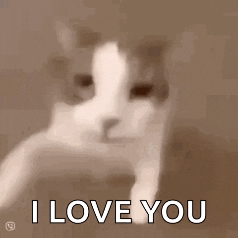 a close up of a cat 's face with the words `` i love you '' written above it .