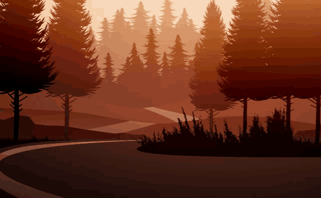 a road going through a forest with trees on both sides