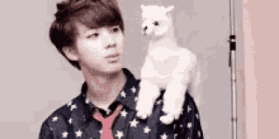 a man is holding a stuffed llama on his shoulder .