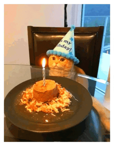 a cat wearing a birthday hat looks at a cake with a candle