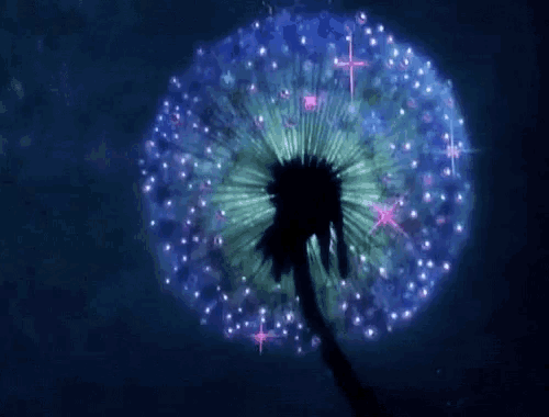 Wish You Were Here Dandelion GIF