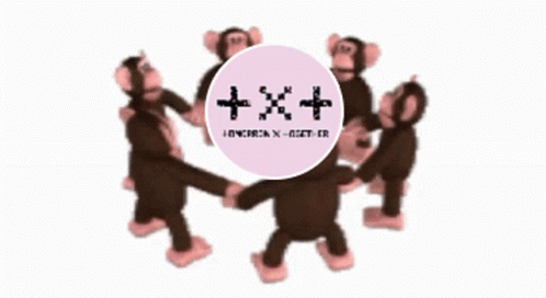 Monkey Circle Prayer Circle GIF - Monkey Circle Prayer Circle Txt Circle GIFs