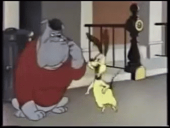 Dogs Perros GIF - Dogs Perros Excited GIFs