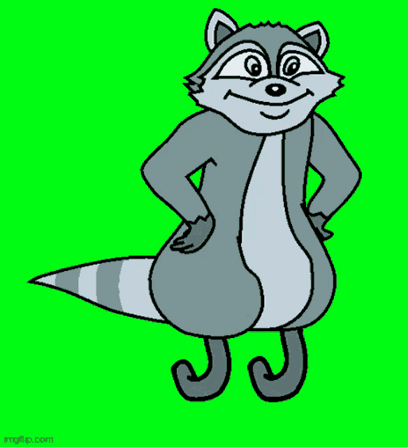 a cartoon raccoon is standing with his hands on his hips and smiling on a green screen .