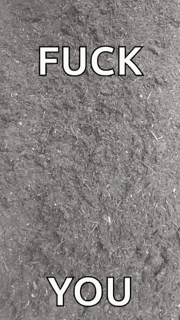 a hand is sticking out of a hole in the ground with the words `` fuck you '' written above it .