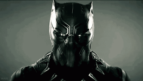 a close up of a black panther 's face with the website www visible in the background