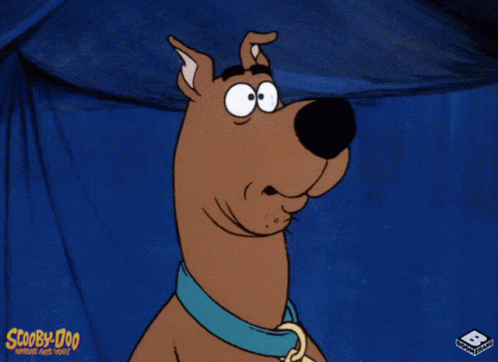 Scooby Confused GIF