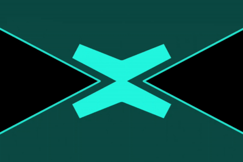 Multiversx Xportal GIF - Multiversx Xportal X Logo GIFs