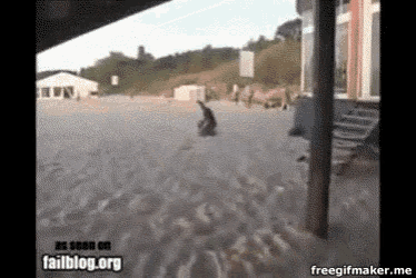 a gif of a person doing a handstand on a beach with the words failblog.org at the top