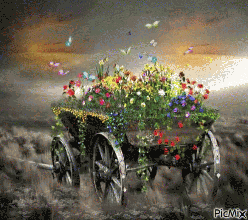 Flowers Carriage GIF - Flowers Carriage GIFs