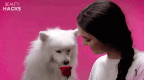 Cute Dog Smell Flowers GIF - Cute Dog Smell Flowers Smell Of A Rose GIFs