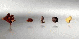 Different Kinds Of Kidney Stones GIF - Kidney Stones GIFs