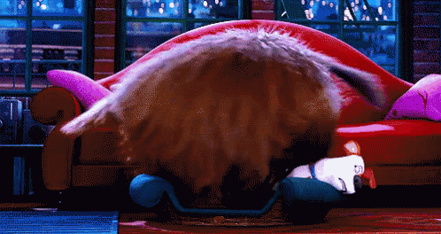 a cat and a dog are laying on a red couch in a living room