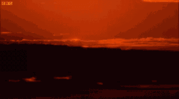 a sunset with the words bbc on the bottom