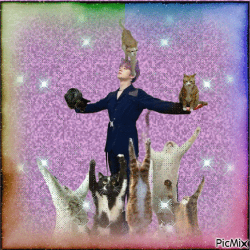 a picture of a man surrounded by cats with picmix written on the bottom