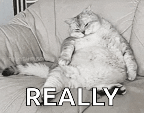 a fat cat is laying on a couch with the word really written above it