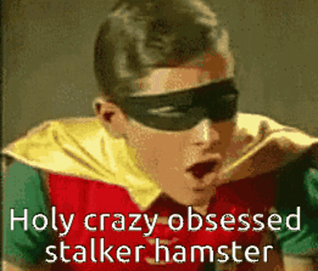 robin is wearing a mask and sunglasses and says holy crazy obsessed stalker hamster .