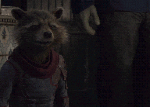 a raccoon with a scarf around its neck is standing in the dark