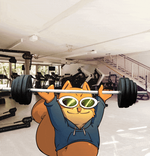 a cartoon of a cat lifting a barbell in a gym