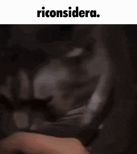 a blurred image of a cat with the words riconsidera above it