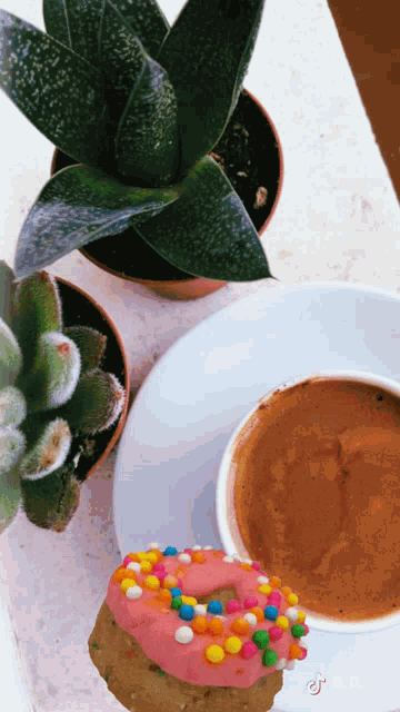 a donut with sprinkles sits next to a cup of coffee on a plate
