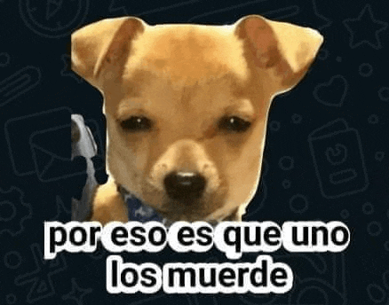 a small dog with a bandana around its neck and the words `` por eso es que uno los muerde '' written next to it .