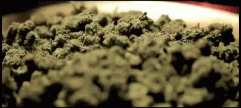 Weed Marihuana GIF - Weed Marihuana GIFs