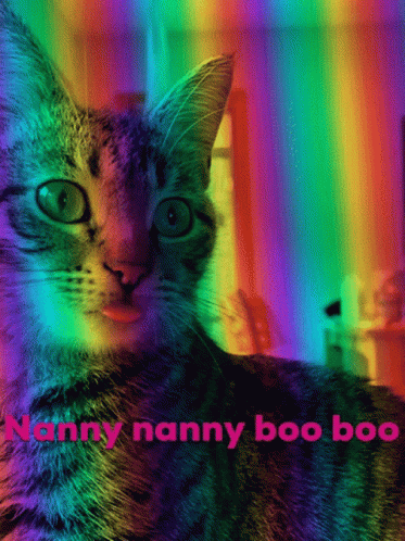 Nanny Nanny Boo Boo Cat Tongue GIF - Nanny Nanny Boo Boo Cat Tongue Cat GIFs