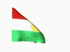 a red white and green flag with a yellow sun in the middle
