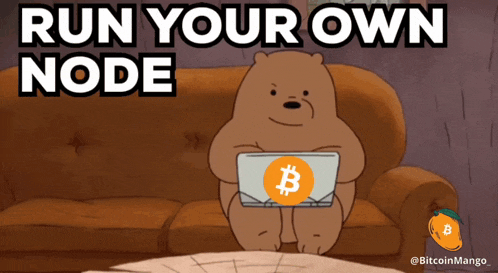 a cartoon bear sitting on a couch holding a laptop with the words run your own node below it