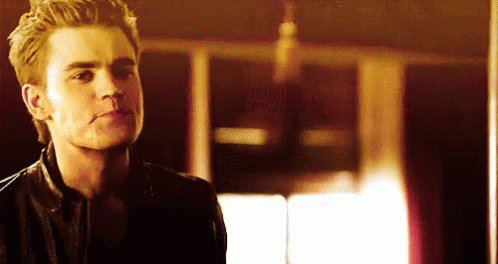 Stefan Salvatore Tvd GIF - Stefan Salvatore Tvd The Vampire Diaries GIFs