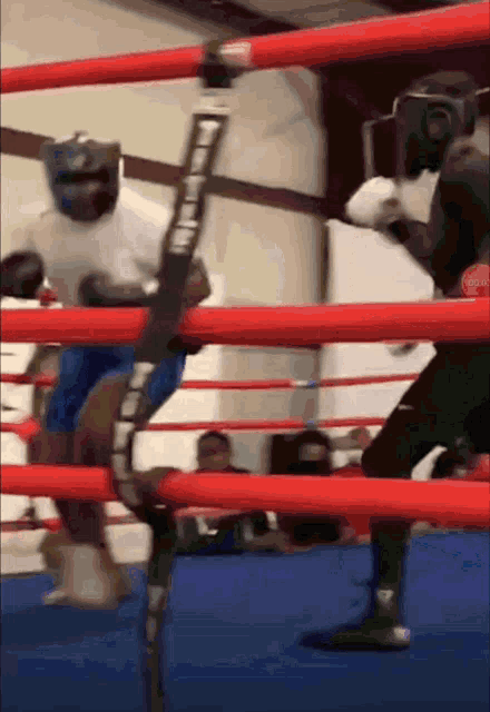 two boxers in a ring with one wearing a white shirt that says ' coca cola '