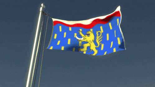 a flag with a lion on it is flying in the wind