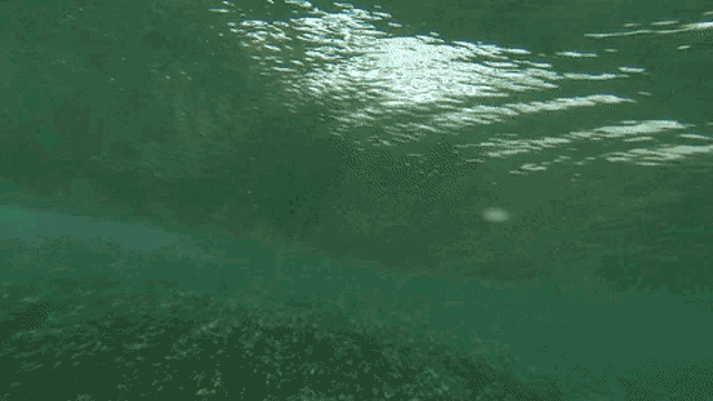Ocean Waves GIF - Ocean Waves Underwater GIFs