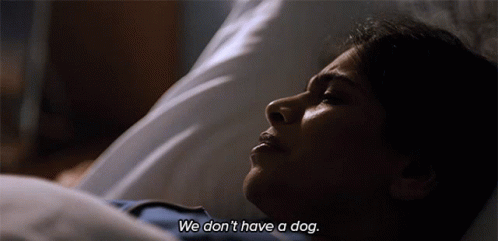 We Dont Have A Dog Rena Pradhan GIF - We Dont Have A Dog Rena Pradhan The Twilight Zone GIFs
