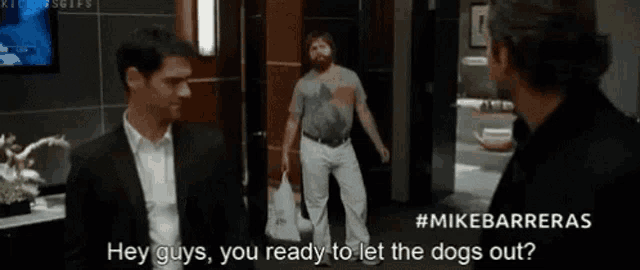Mike Barreras Zach Galifianakis GIF