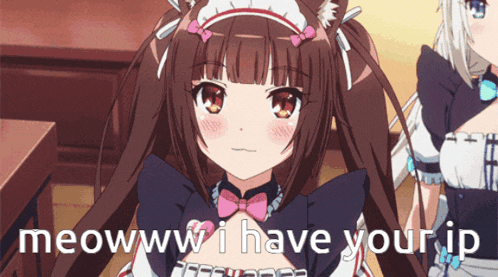 a girl in a maid costume says meowww i have your ip